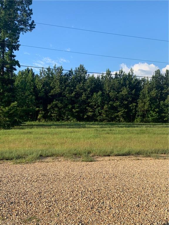 0 Breaux Road Independence, LA 70443 - Photo 1 of 5 Gallery Image 1