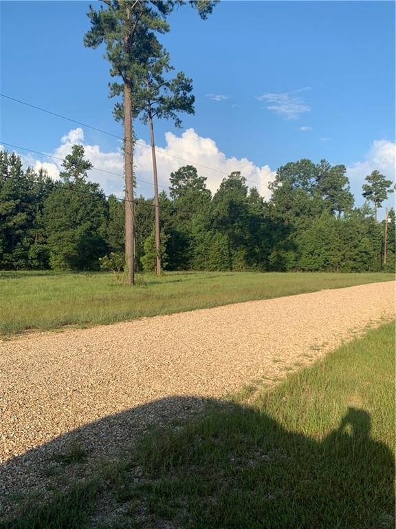 0 Breaux Road Independence, LA 70443 - Photo 2 of 5 Gallery Image 2