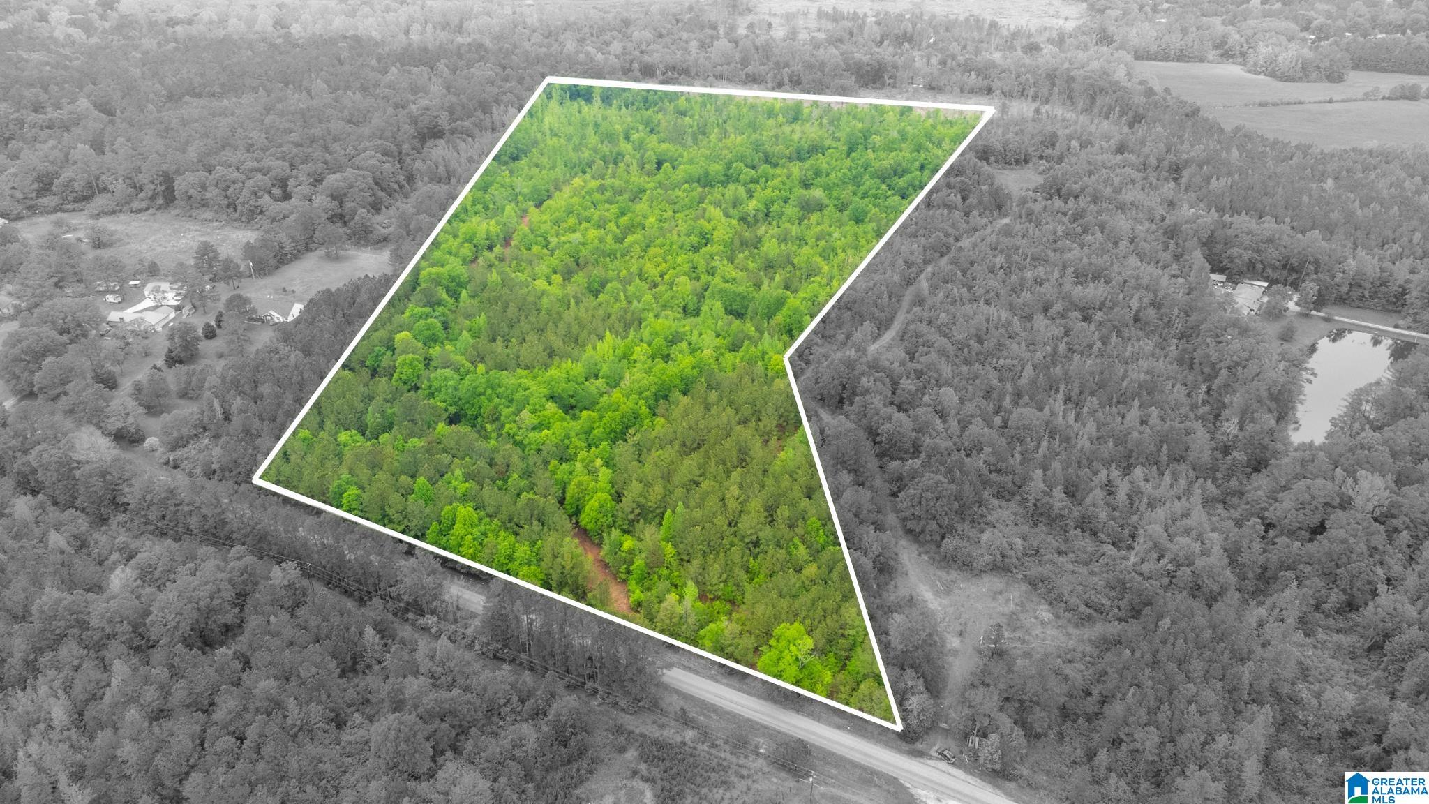 0 Cove Access Road, Unit 28 Talladega, AL 35160 - Photo 1 of 12