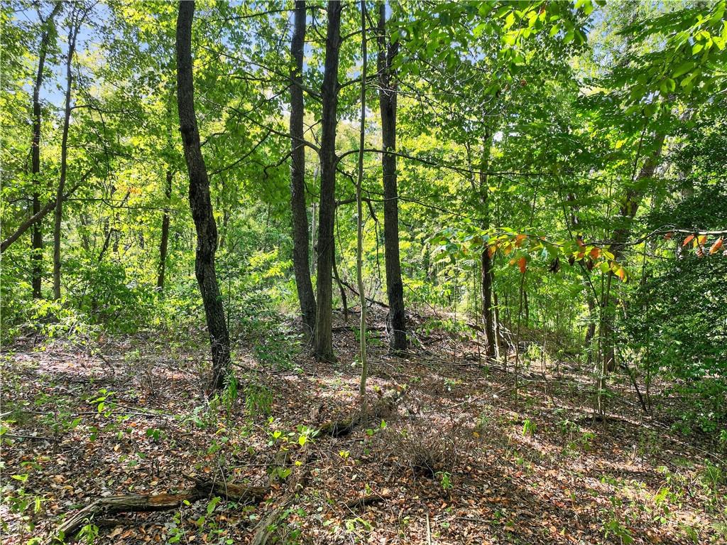 0 Dutch Ridge Road Beaver, PA 15009 - Photo 11 of 20 a big yard with lots of green space and trees