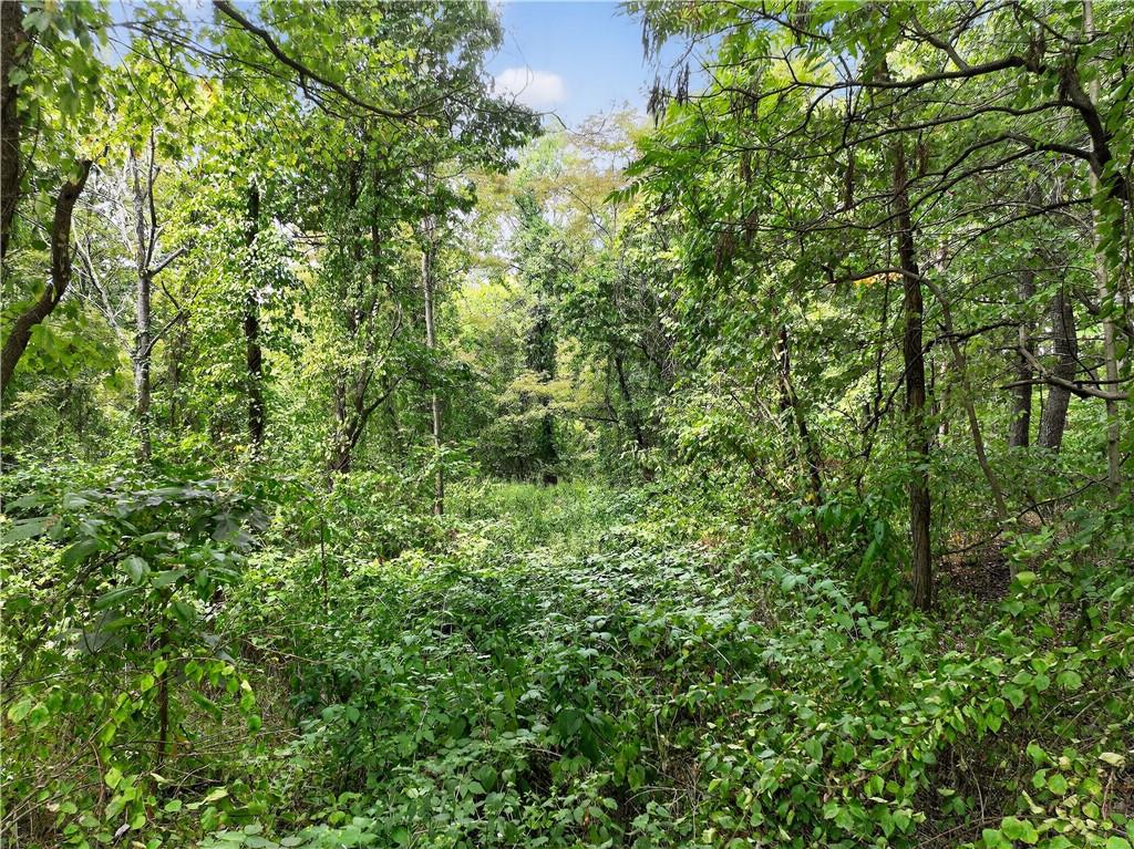 0 Dutch Ridge Road Beaver, PA 15009 - Photo 13 of 20 a view of a lush green forest