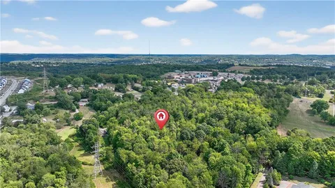 a view of a lush green forest with lots of trees