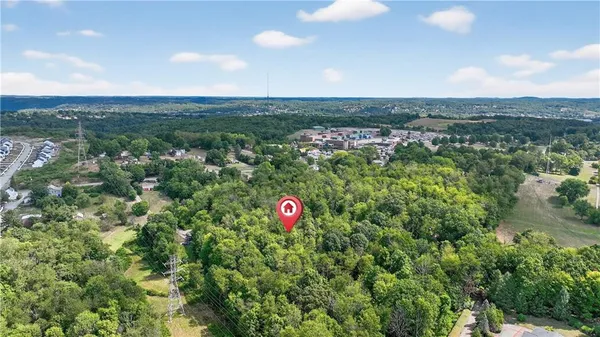 a view of a lush green forest with lots of trees