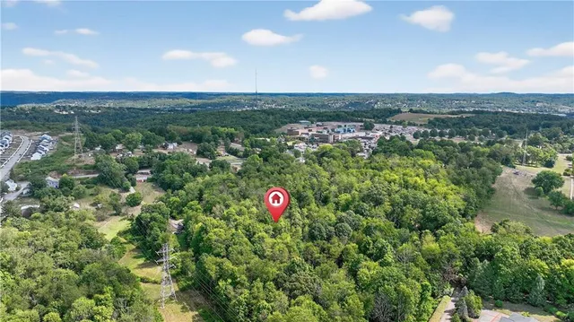 a view of a lush green forest with lots of trees