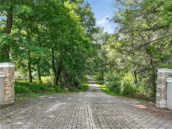 a view of a yard with plants and trees