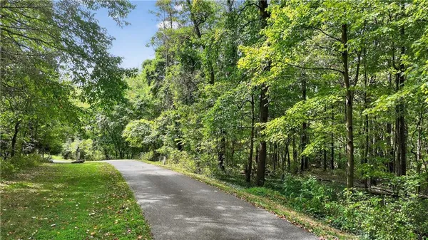 a view of a yard with a tree