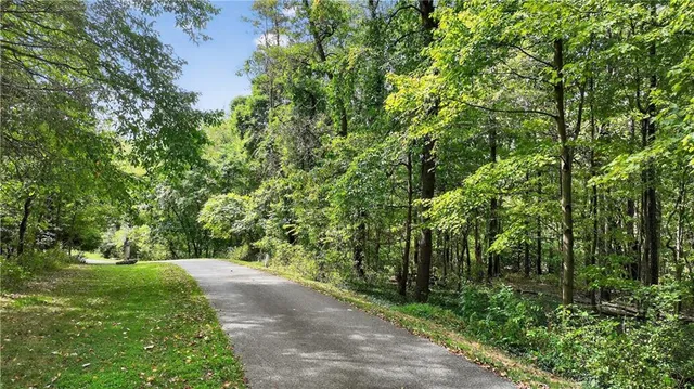 a view of a yard with a tree