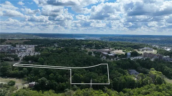 a view of a city with lush green forest
