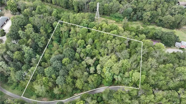 a view of a yard from a window