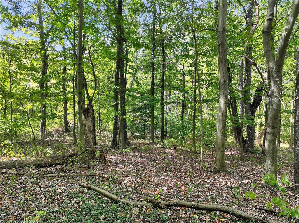 0 Dutch Ridge Road Beaver, PA 15009 - Photo 9 of 20 a view of outdoor space and green space
