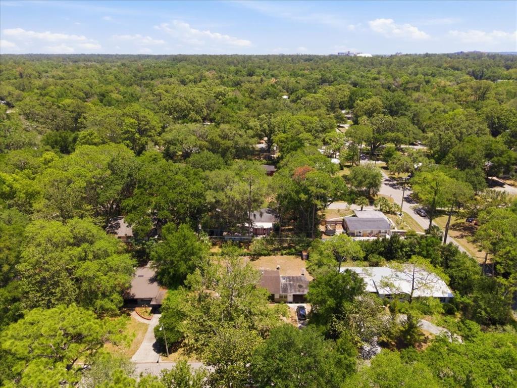 517 Northwest 36th Terrace Gainesville, FL 32607 - Photo 36 of 38