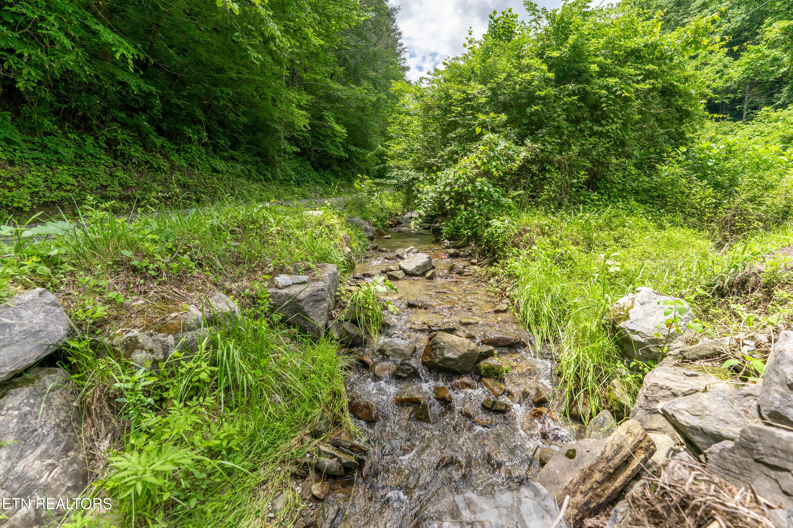 Johns Creek Road Del Rio, TN 37727 - Photo 8 of 17 _DSC3675-Edit