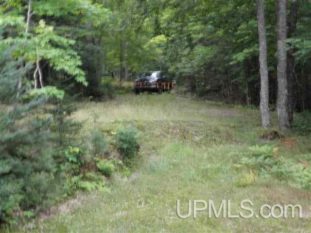 525 South Camp Road Ishpeming, MI 49849 - Photo 3 of 9 Gallery Image 3