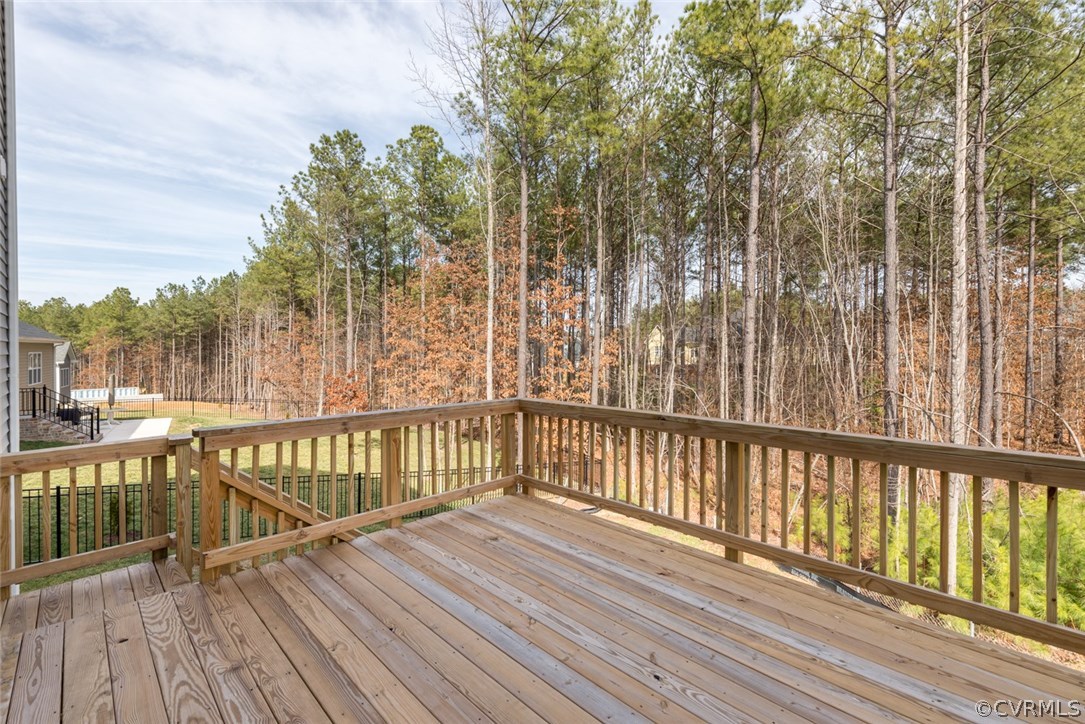 16224 Longlands Road Chesterfield, VA 23832 - Photo 29 of 49 Gallery Image 29