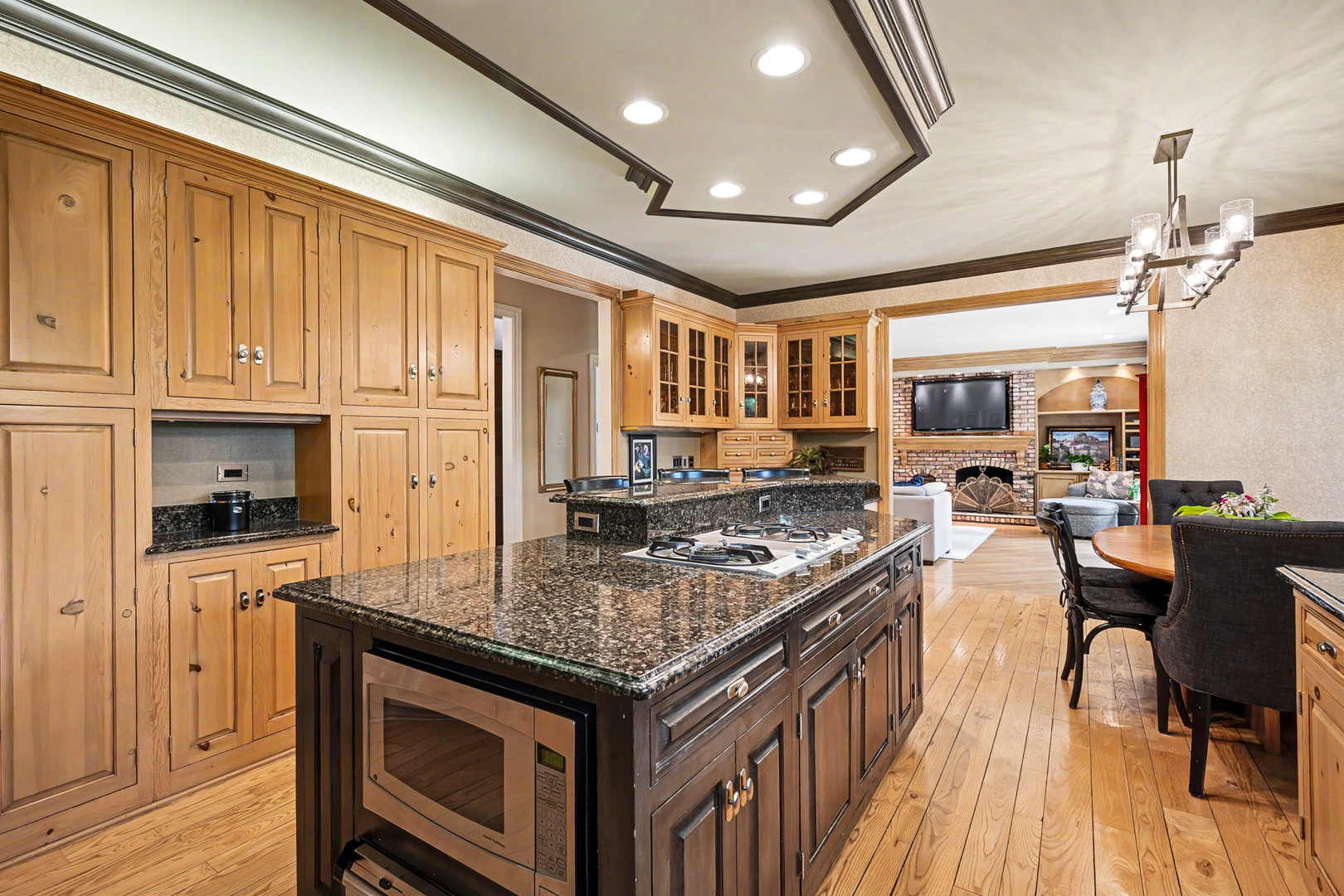 6450 Manor Drive Burr Ridge, IL 60527 - Photo 22 of 70