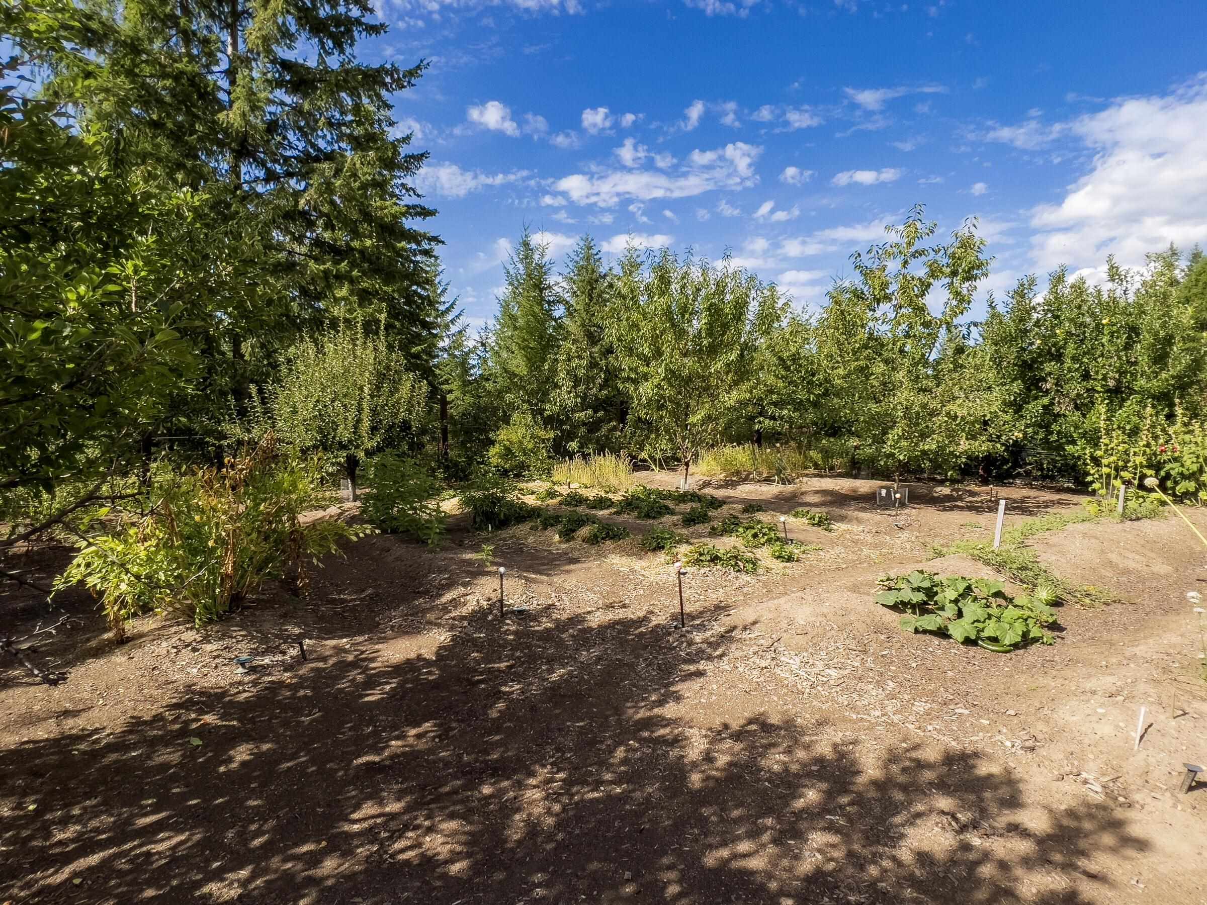 2239 F Scott Road Rice, WA 99167 - Photo 30 of 30