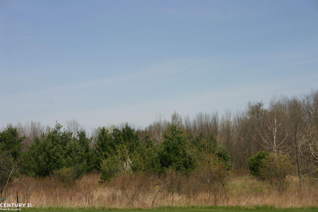 0 Corneil Road Imlay City, MI 48444 - Photo 2 of 2