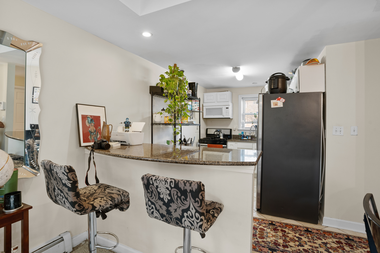 7534 North Ridge Boulevard, Unit 1W Chicago, IL 60645 - Photo 4 of 19 Gallery Image 4