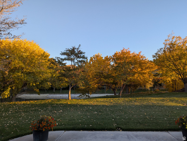 1040 West Mill Road Ferron, UT 84523 - Photo 73 of 117 Manicured lawn with mature deciduous trees and a concrete patio