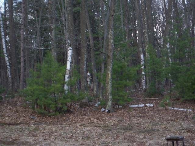 On Estelle Drive Rhinelander, WI 54501 - Photo 13 of 15 Gallery Image 13