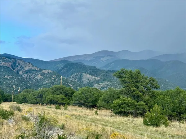 a view of a lush green field with mountains in the background
