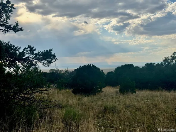 a view of a lake and green field