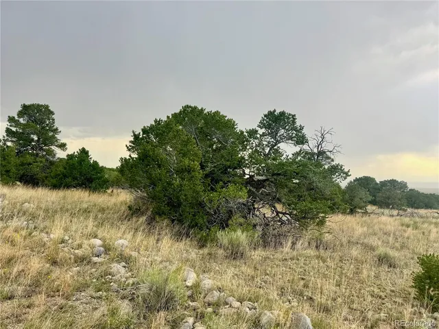 a view of a lake with lots of trees