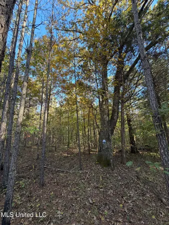 $239,000 | 4348 Big Creek Road, Sturgis, MS 39769