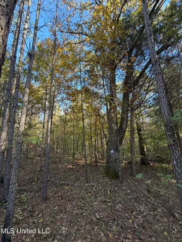 $239,000 | 4348 Big Creek Road, Sturgis, MS 39769