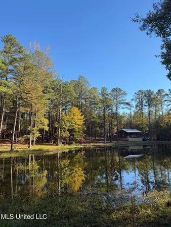 $239,000 | 4348 Big Creek Road, Sturgis, MS 39769