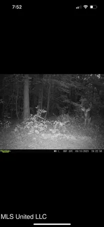 $239,000 | 4348 Big Creek Road, Sturgis, MS 39769