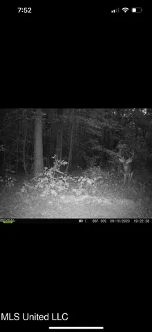 $239,000 | 4348 Big Creek Road, Sturgis, MS 39769