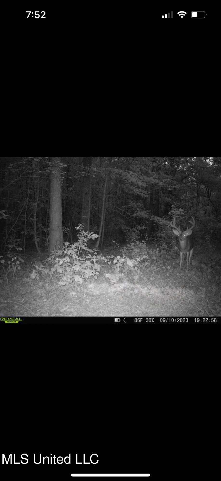 4348 Big Creek Road Sturgis, MS 39769 - Photo 14 of 23 14