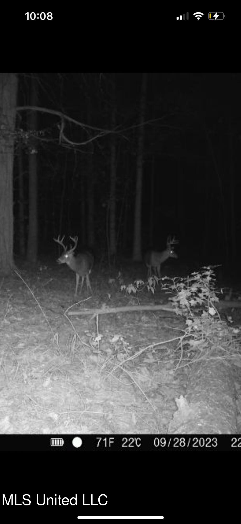 4348 Big Creek Road Sturgis, MS 39769 - Photo 16 of 23 15