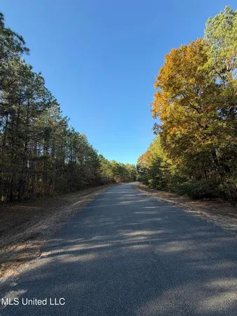 $239,000 | 4348 Big Creek Road, Sturgis, MS 39769