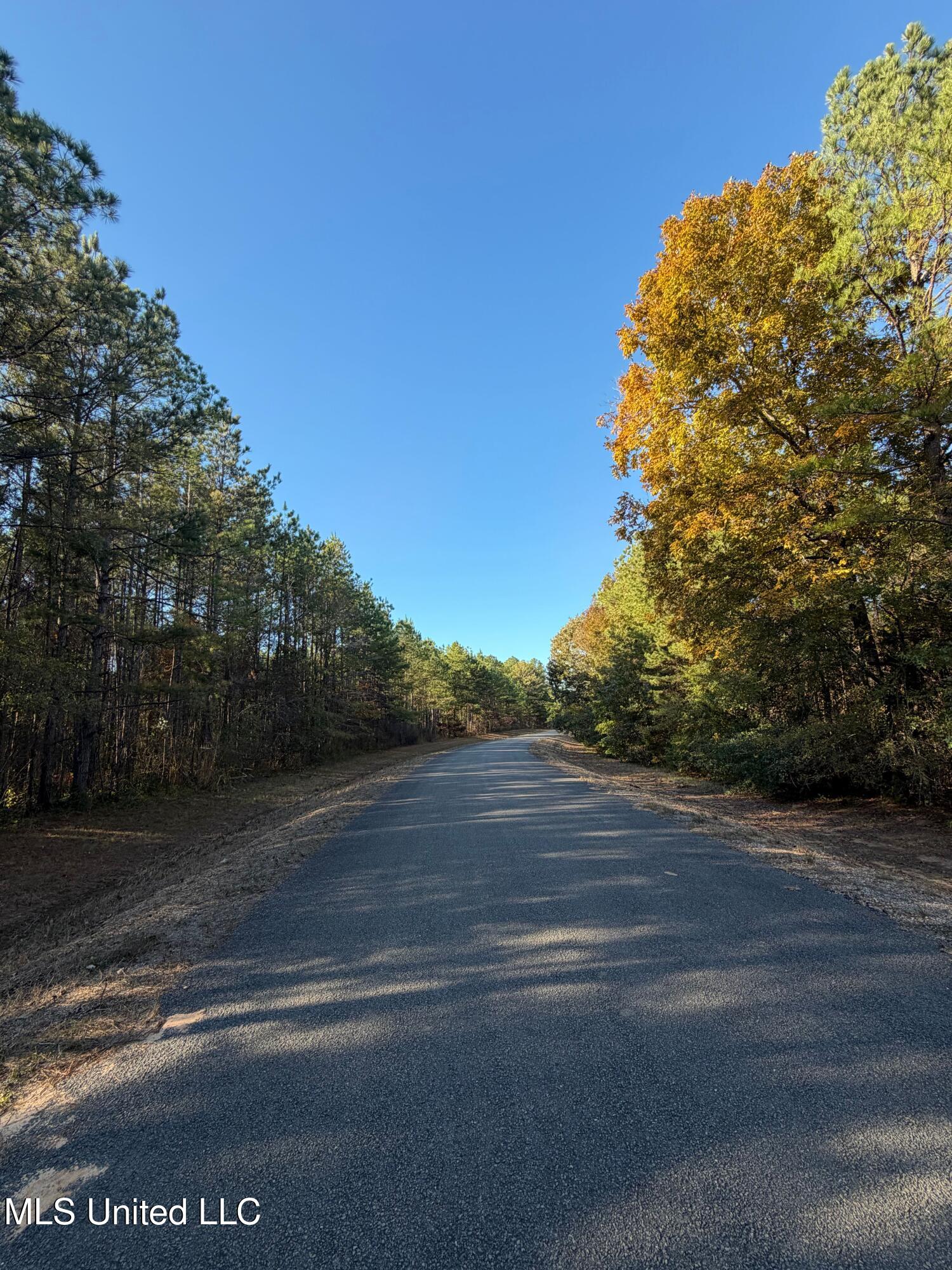 4348 Big Creek Road Sturgis, MS 39769 - Photo 17 of 23 16