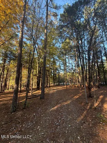 $239,000 | 4348 Big Creek Road, Sturgis, MS 39769