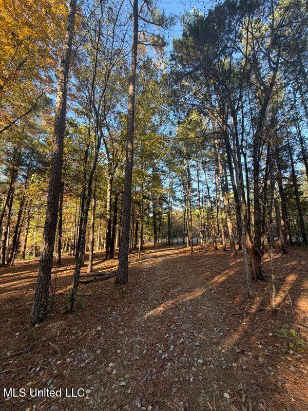 4348 Big Creek Road Sturgis, MS 39769 - Photo 3 of 23 3