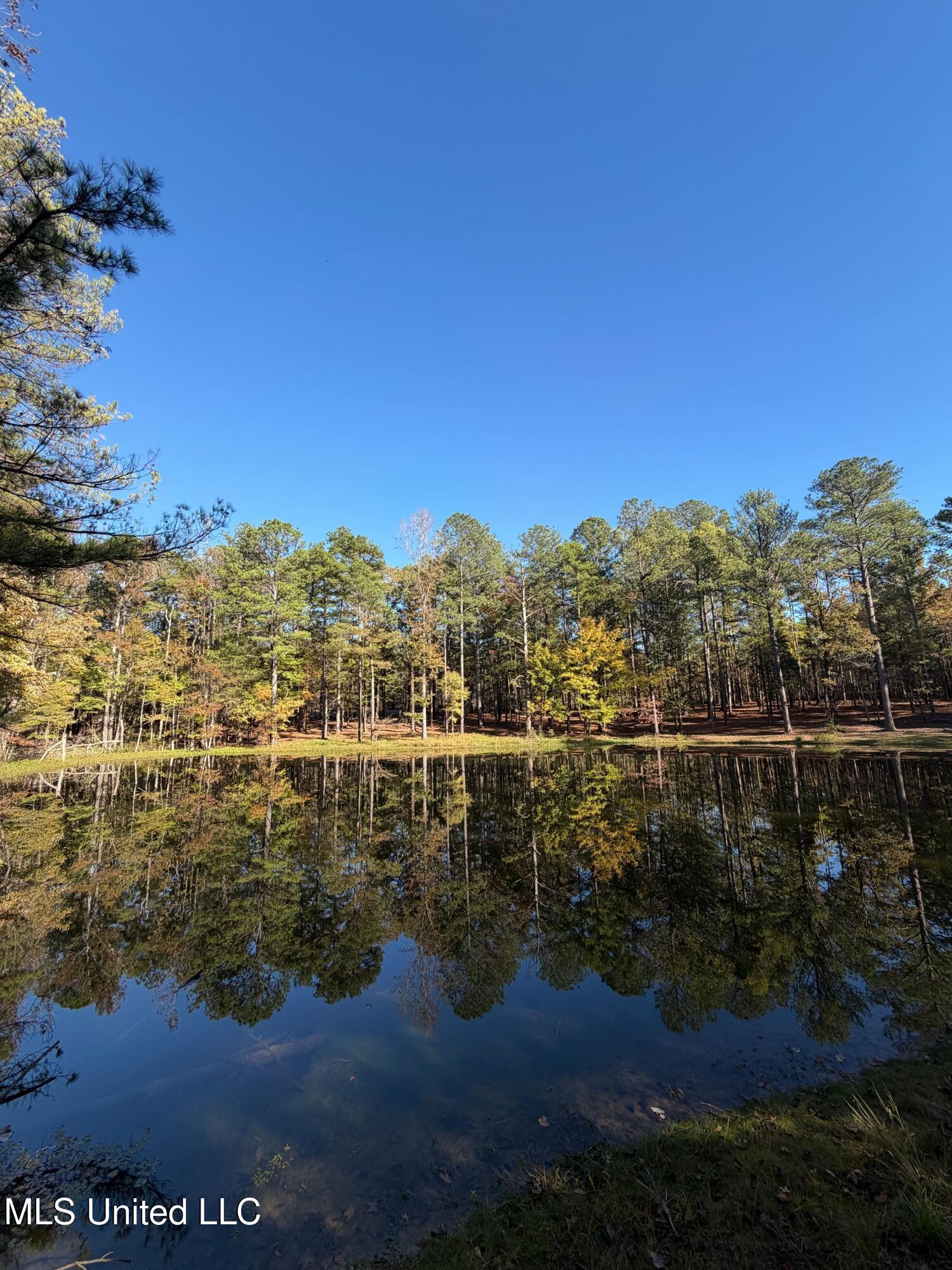 4348 Big Creek Road Sturgis, MS 39769 - Photo 4 of 23 4