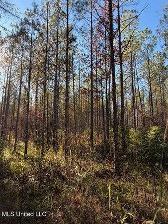 $239,000 | 4348 Big Creek Road, Sturgis, MS 39769