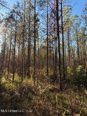 $239,000 | 4348 Big Creek Road, Sturgis, MS 39769