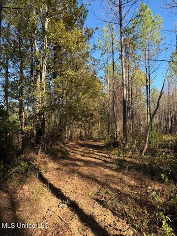 $239,000 | 4348 Big Creek Road, Sturgis, MS 39769