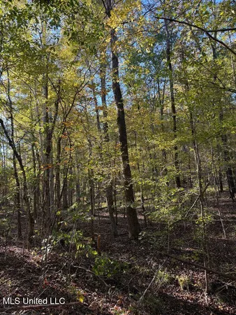 $239,000 | 4348 Big Creek Road, Sturgis, MS 39769