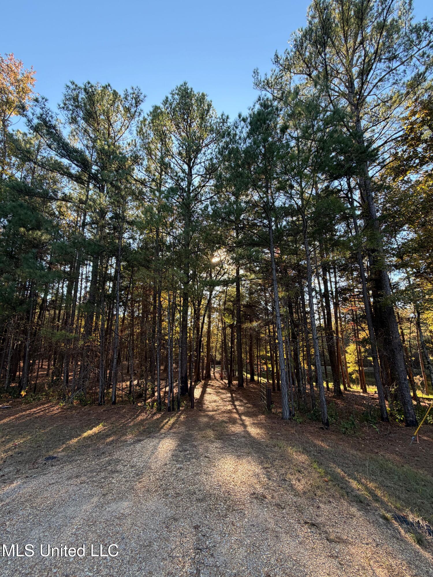 4348 Big Creek Road Sturgis, MS 39769 - Photo 10 of 23 10