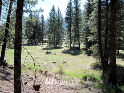 102 Chechaquo Ranch Road Mazama, WA 98833 - Photo 1 of 1 Gallery Image 1