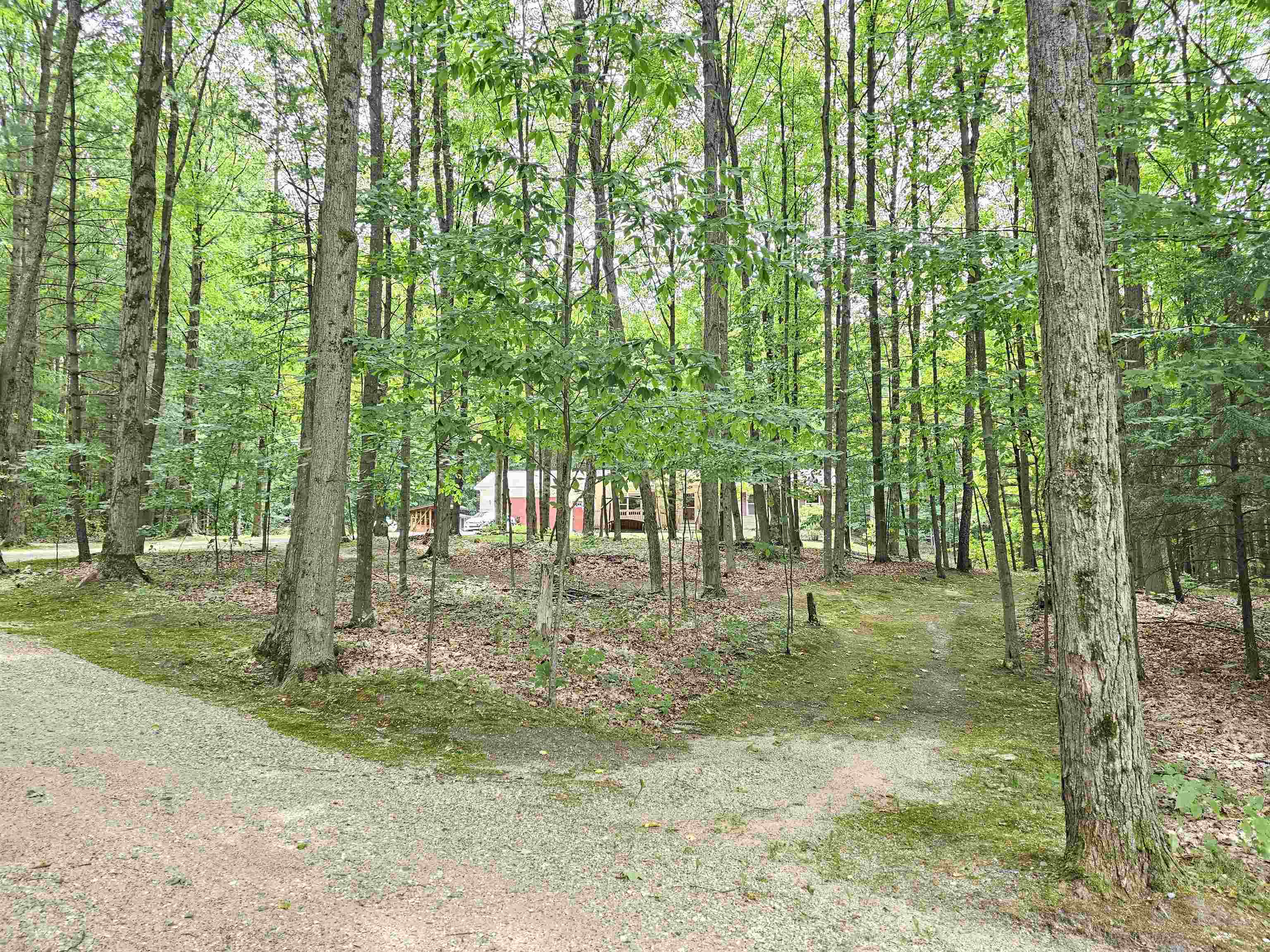 6207 West Phelps Road Manton, MI 49663 - Photo 37 of 57