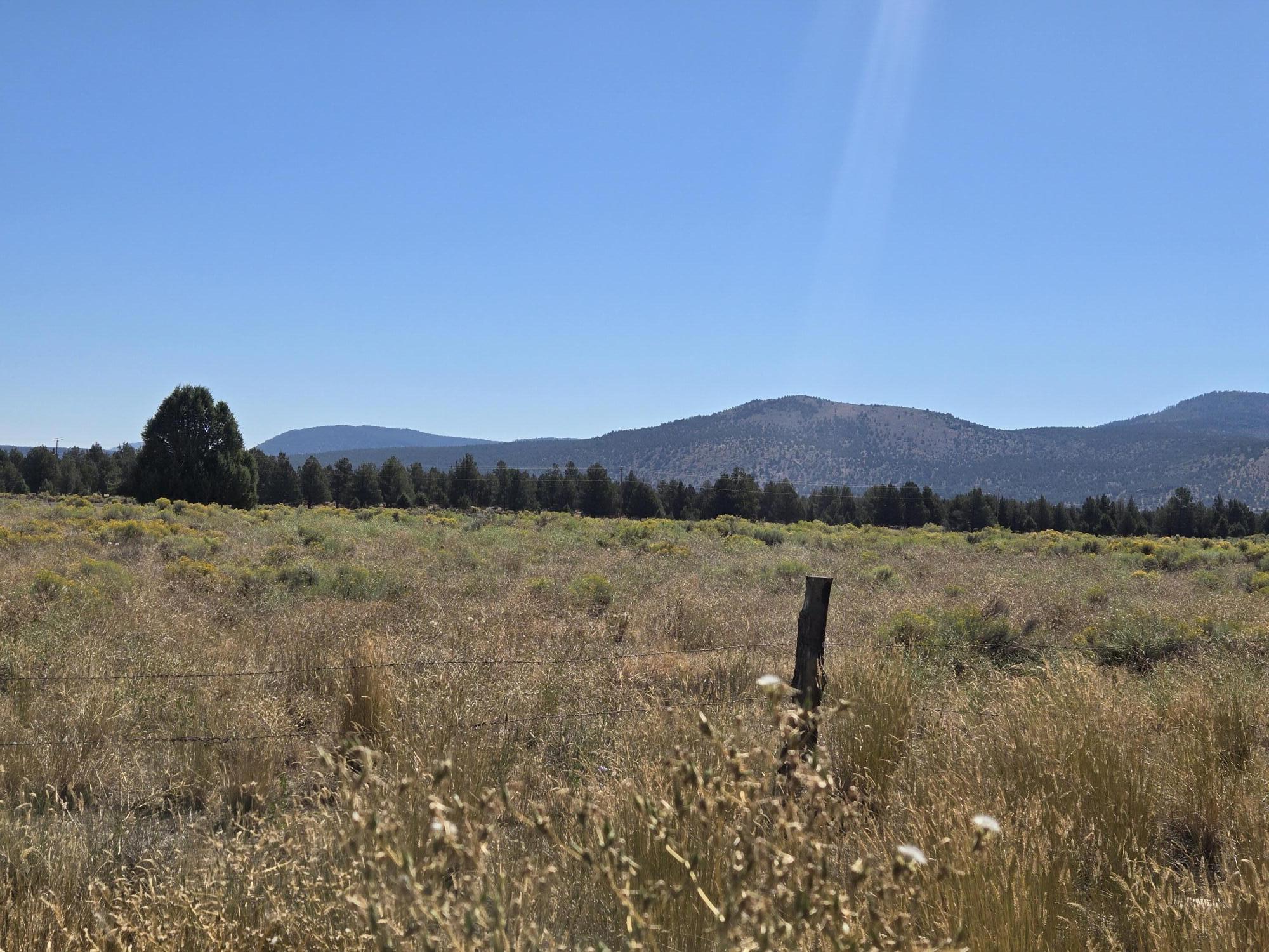 3138 Sheep Mountain Road Macdoel, CA 96058 - Photo 24 of 47 View