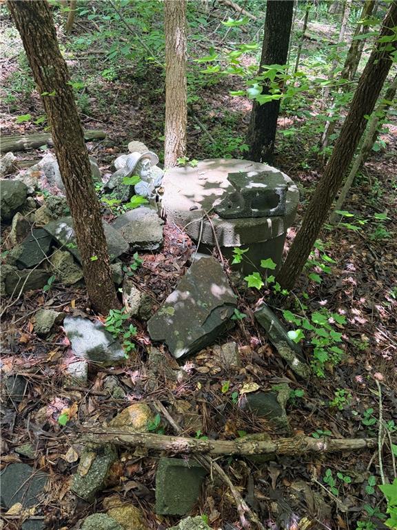 8915 Cedar Grove Road Fairburn, GA 30213 - Photo 2 of 5