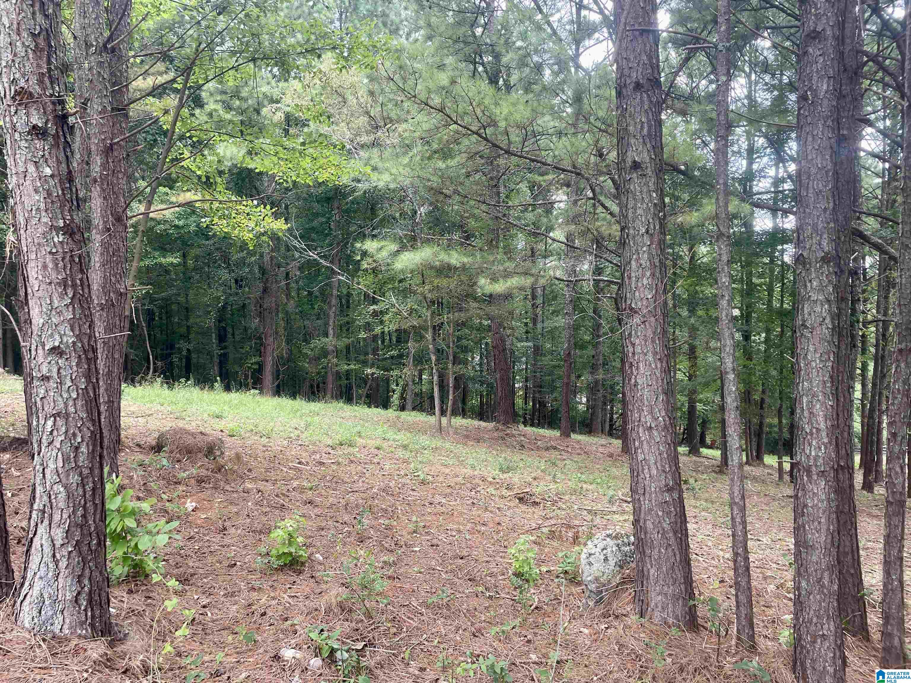 1782 Village Springs Road Springville, AL 35146 - Photo 19 of 80