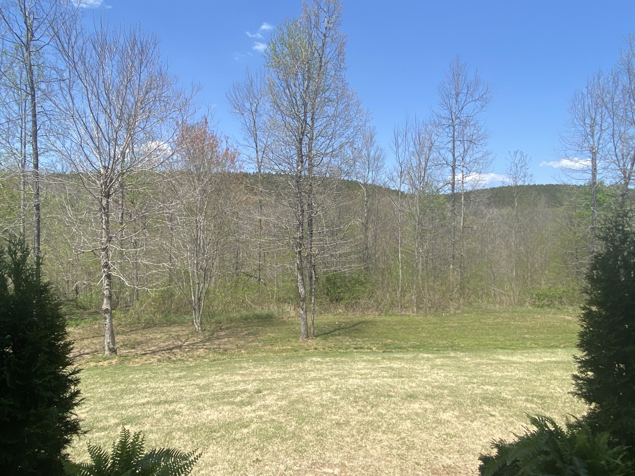 2479 Barnett Branch Road Waynesboro, TN 38485 - Photo 14 of 51 Gallery Image 14